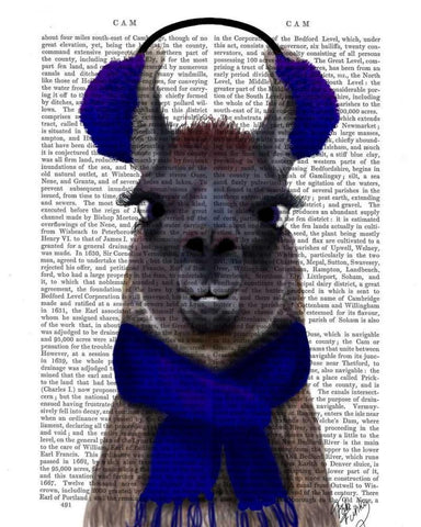 Chilly Llama, Blue White Modern Wood Framed Art Print with Double Matting by Fab Funky