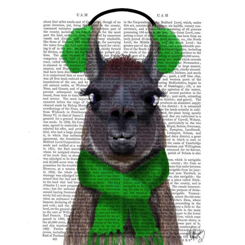 Chilly Llama, Green Black Modern Wood Framed Art Print with Double Matting by Fab Funky