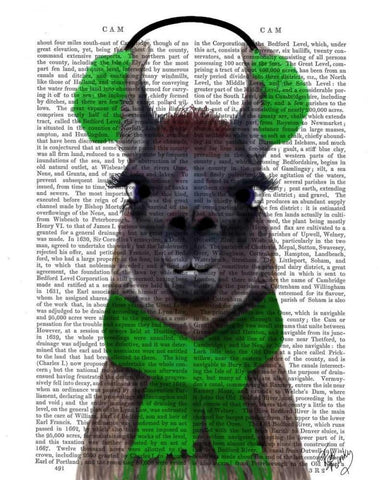 Chilly Llama, Green White Modern Wood Framed Art Print with Double Matting by Fab Funky