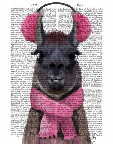 Chilly Llama, Pink White Modern Wood Framed Art Print with Double Matting by Fab Funky