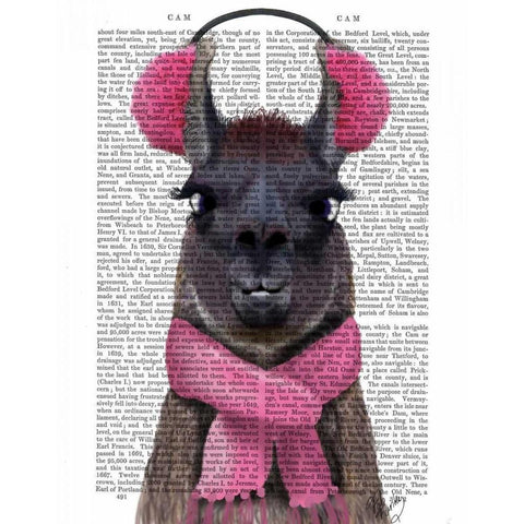 Chilly Llama, Pink Black Modern Wood Framed Art Print with Double Matting by Fab Funky