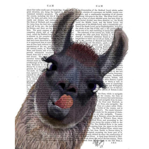 Silly Llama Black Modern Wood Framed Art Print with Double Matting by Fab Funky