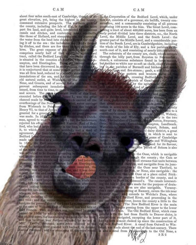 Silly Llama White Modern Wood Framed Art Print with Double Matting by Fab Funky