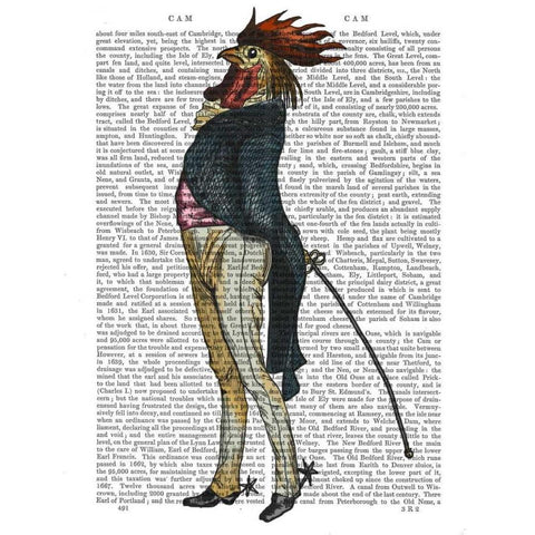 Cockerel with Spurs Black Modern Wood Framed Art Print with Double Matting by Fab Funky