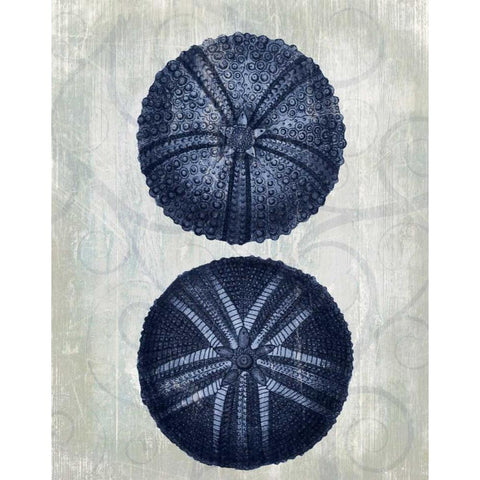 Indigo Blue Sea Urchins a White Modern Wood Framed Art Print by Fab Funky