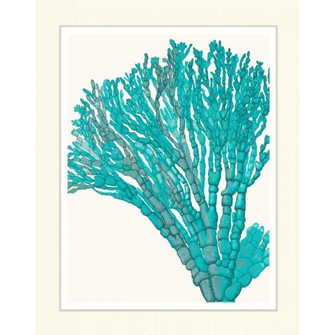 Blue Underwater Scenes 1 f White Modern Wood Framed Art Print by Fab Funky