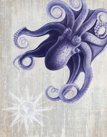 Octopus 7 White Modern Wood Framed Art Print with Double Matting by Fab Funky