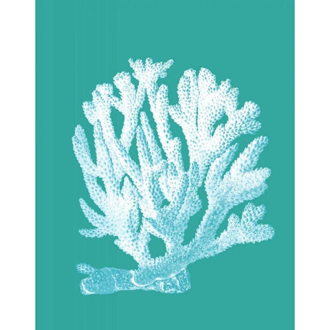 Coral 1 White On Turquoise Gold Ornate Wood Framed Art Print with Double Matting by Fab Funky