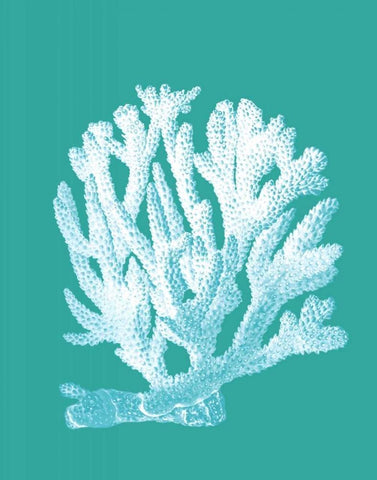 Coral 1 White On Turquoise White Modern Wood Framed Art Print with Double Matting by Fab Funky