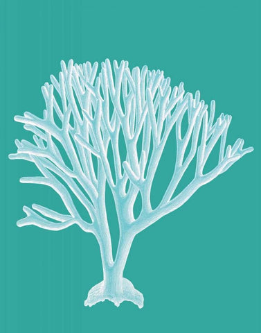 Coral 2 White on Turquoise White Modern Wood Framed Art Print with Double Matting by Fab Funky