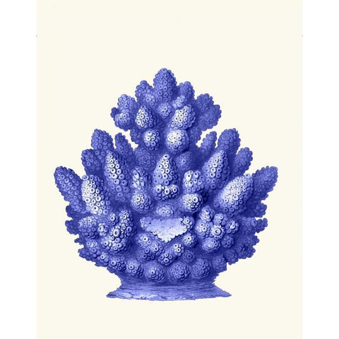 Haeckel Hexacoralla Coral Blue Gold Ornate Wood Framed Art Print with Double Matting by Fab Funky