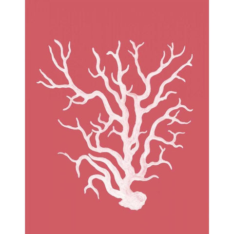 Corals White on Coral a Gold Ornate Wood Framed Art Print with Double Matting by Fab Funky