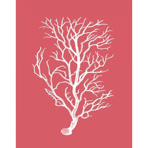 Corals White on Coral b Black Modern Wood Framed Art Print with Double Matting by Fab Funky