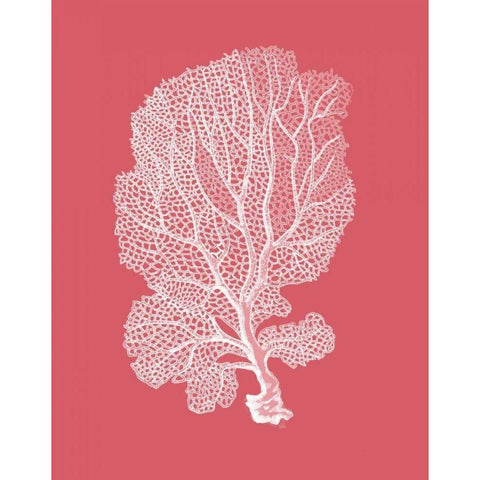 Corals White on Coral c White Modern Wood Framed Art Print by Fab Funky