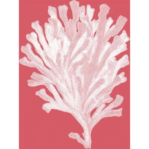 Corals White on Coral d Gold Ornate Wood Framed Art Print with Double Matting by Fab Funky