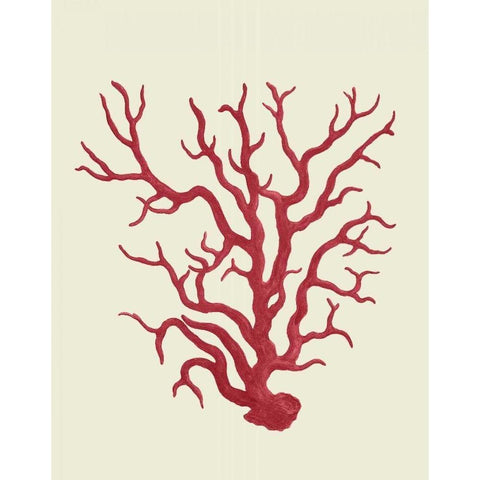 Corals Coral On Cream a White Modern Wood Framed Art Print by Fab Funky