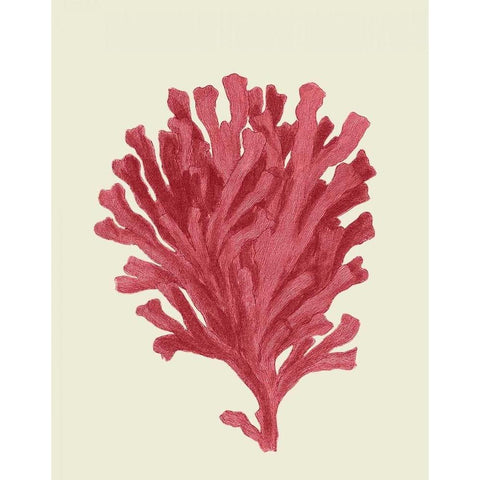 Corals Coral On Cream d White Modern Wood Framed Art Print by Fab Funky