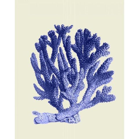 Blue Corals a Gold Ornate Wood Framed Art Print with Double Matting by Fab Funky