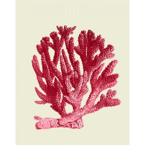 Red Corals 1 a Gold Ornate Wood Framed Art Print with Double Matting by Fab Funky