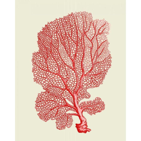 Red Corals 1 b Black Modern Wood Framed Art Print with Double Matting by Fab Funky