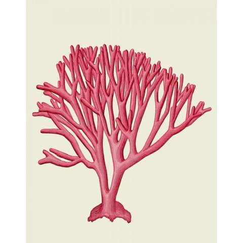 Red Corals 1 c Gold Ornate Wood Framed Art Print with Double Matting by Fab Funky