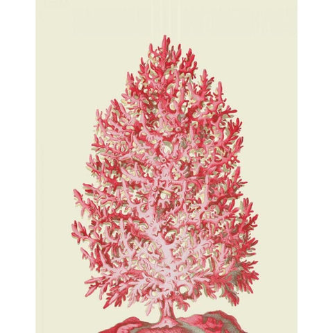 Red Corals 1 d White Modern Wood Framed Art Print by Fab Funky