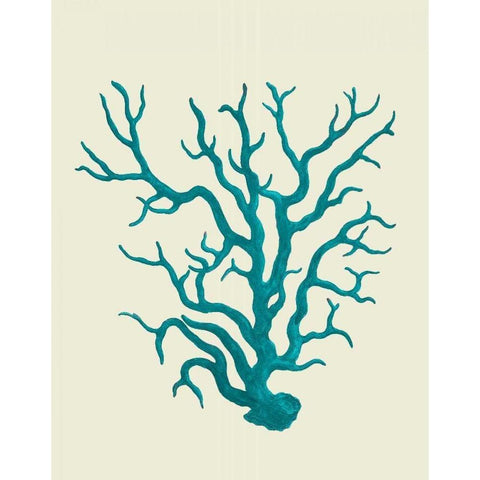 Corals Turquoise On Cream a Black Modern Wood Framed Art Print with Double Matting by Fab Funky