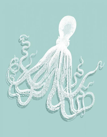 Octopus 1 White on Seafoam White Modern Wood Framed Art Print with Double Matting by Fab Funky