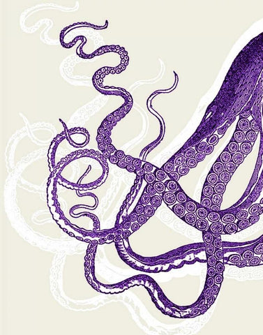 Octopus Tentacles Purple And White White Modern Wood Framed Art Print with Double Matting by Fab Funky