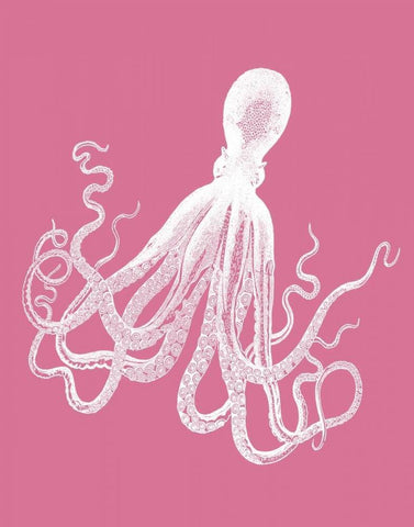 Octopus 1 White on Pink Black Ornate Wood Framed Art Print with Double Matting by Fab Funky