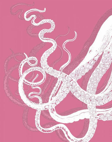 Octopus Tentacles White On Pink White Modern Wood Framed Art Print with Double Matting by Fab Funky