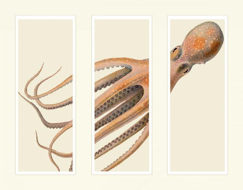 Octopus on 3 panels White Modern Wood Framed Art Print with Double Matting by Fab Funky