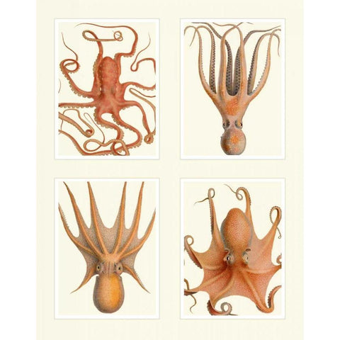 Octopus on 4 Panels White Modern Wood Framed Art Print by Fab Funky