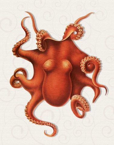 Octopus 4 Orange White Modern Wood Framed Art Print with Double Matting by Fab Funky