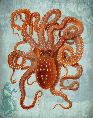 Octopus 2 White Modern Wood Framed Art Print with Double Matting by Fab Funky