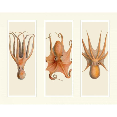 Trio of Octopus on 3 Panels Gold Ornate Wood Framed Art Print with Double Matting by Fab Funky