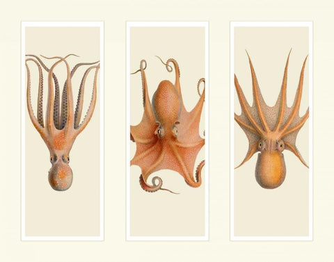 Trio of Octopus on 3 Panels Black Ornate Wood Framed Art Print with Double Matting by Fab Funky