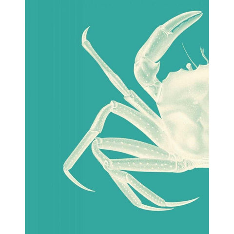 Contrasting Crab in Turquoise b Gold Ornate Wood Framed Art Print with Double Matting by Fab Funky