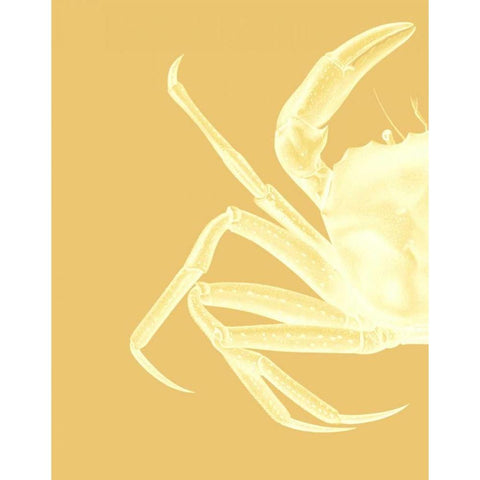 Contrasting Crab in Mustard a Gold Ornate Wood Framed Art Print with Double Matting by Fab Funky