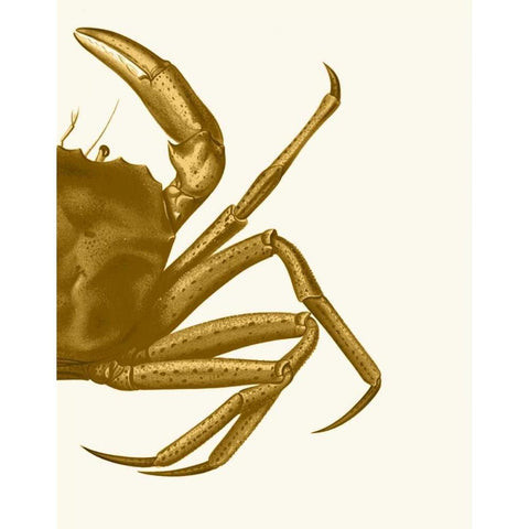 Contrasting Crab in Mustard b White Modern Wood Framed Art Print by Fab Funky