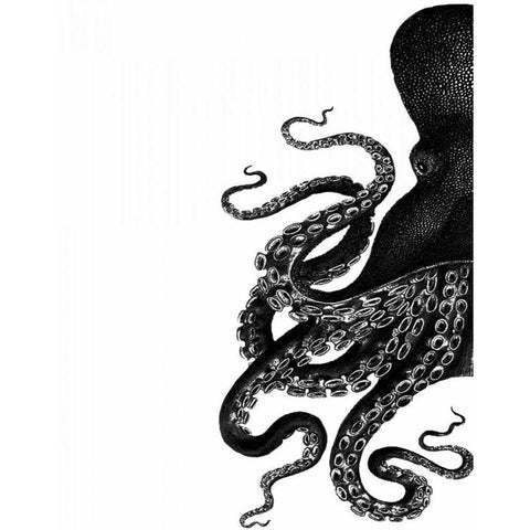 Octopus Black and White a White Modern Wood Framed Art Print by Fab Funky