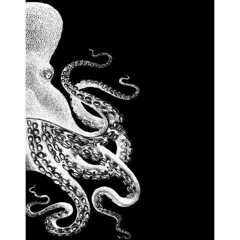 Octopus Black and White b Black Modern Wood Framed Art Print with Double Matting by Fab Funky