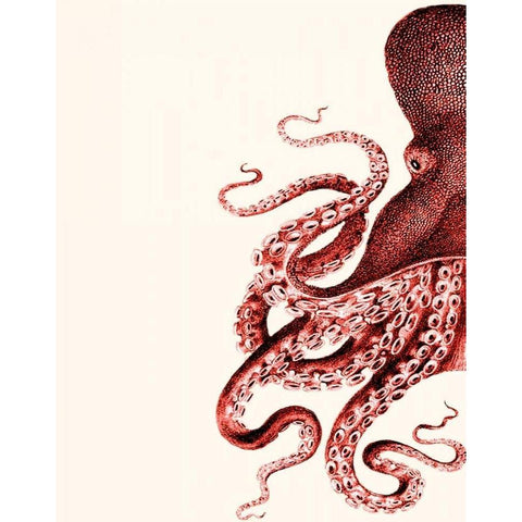 Octopus Coral and Cream a Black Modern Wood Framed Art Print with Double Matting by Fab Funky