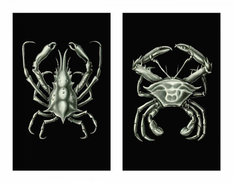 Crabs On Black in 2 panels Black Ornate Wood Framed Art Print with Double Matting by Fab Funky