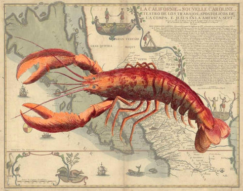 Lobster print on Nautical Map Black Ornate Wood Framed Art Print with Double Matting by Fab Funky