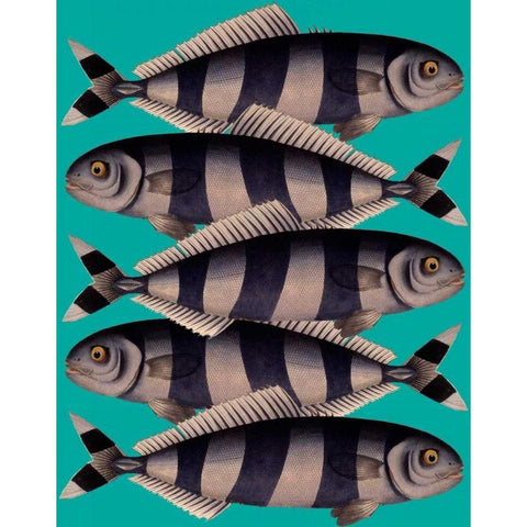 Blue Striped Fish Gold Ornate Wood Framed Art Print with Double Matting by Fab Funky