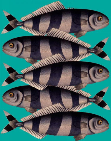 Blue Striped Fish Black Ornate Wood Framed Art Print with Double Matting by Fab Funky