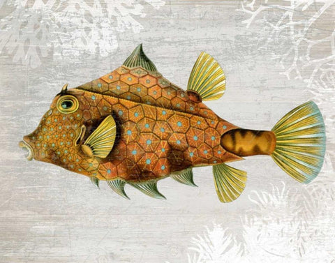 Gold Turret Fish White Modern Wood Framed Art Print with Double Matting by Fab Funky