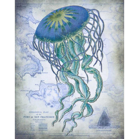 Jellyfish On image of Nautical Map White Modern Wood Framed Art Print by Fab Funky