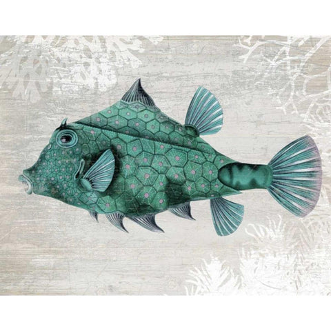 Turquoise Turret Fish Gold Ornate Wood Framed Art Print with Double Matting by Fab Funky